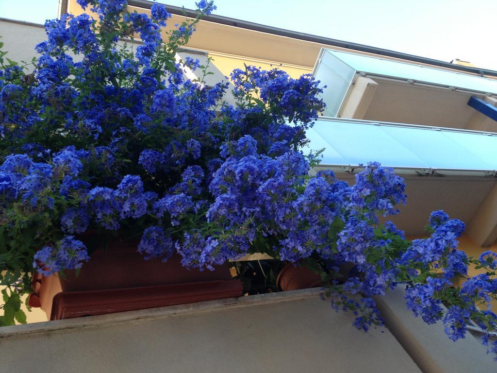 Hotel Vienna Senigallia Bagian luar foto